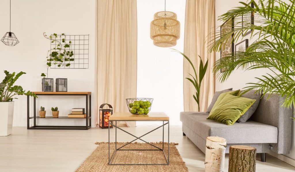 Top 10 low maintenance indoor plants and how to care for them FB 1200x700 compressed