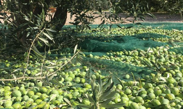 9f0277524db366d99bb001d60a0bee4e