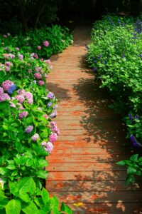 hat trick m 6vI98SdEc unsplash