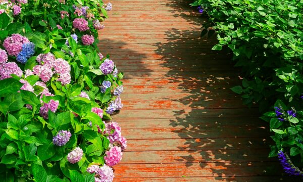 hat trick m 6vI98SdEc unsplash