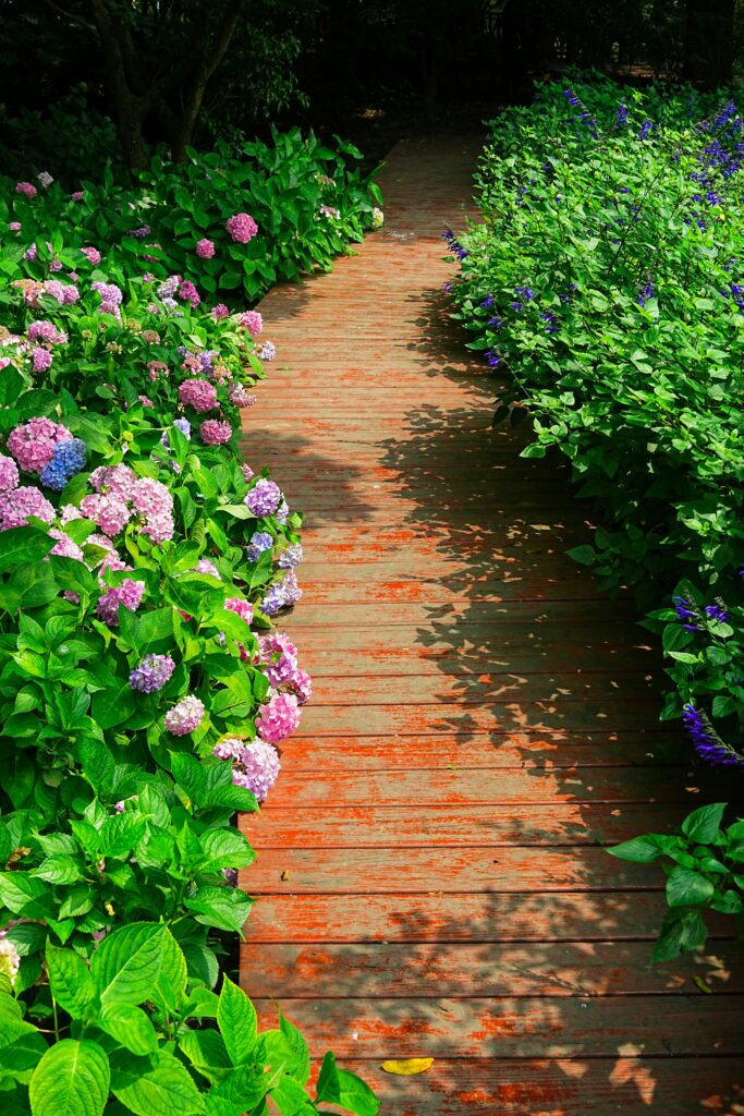 hat trick m 6vI98SdEc unsplash