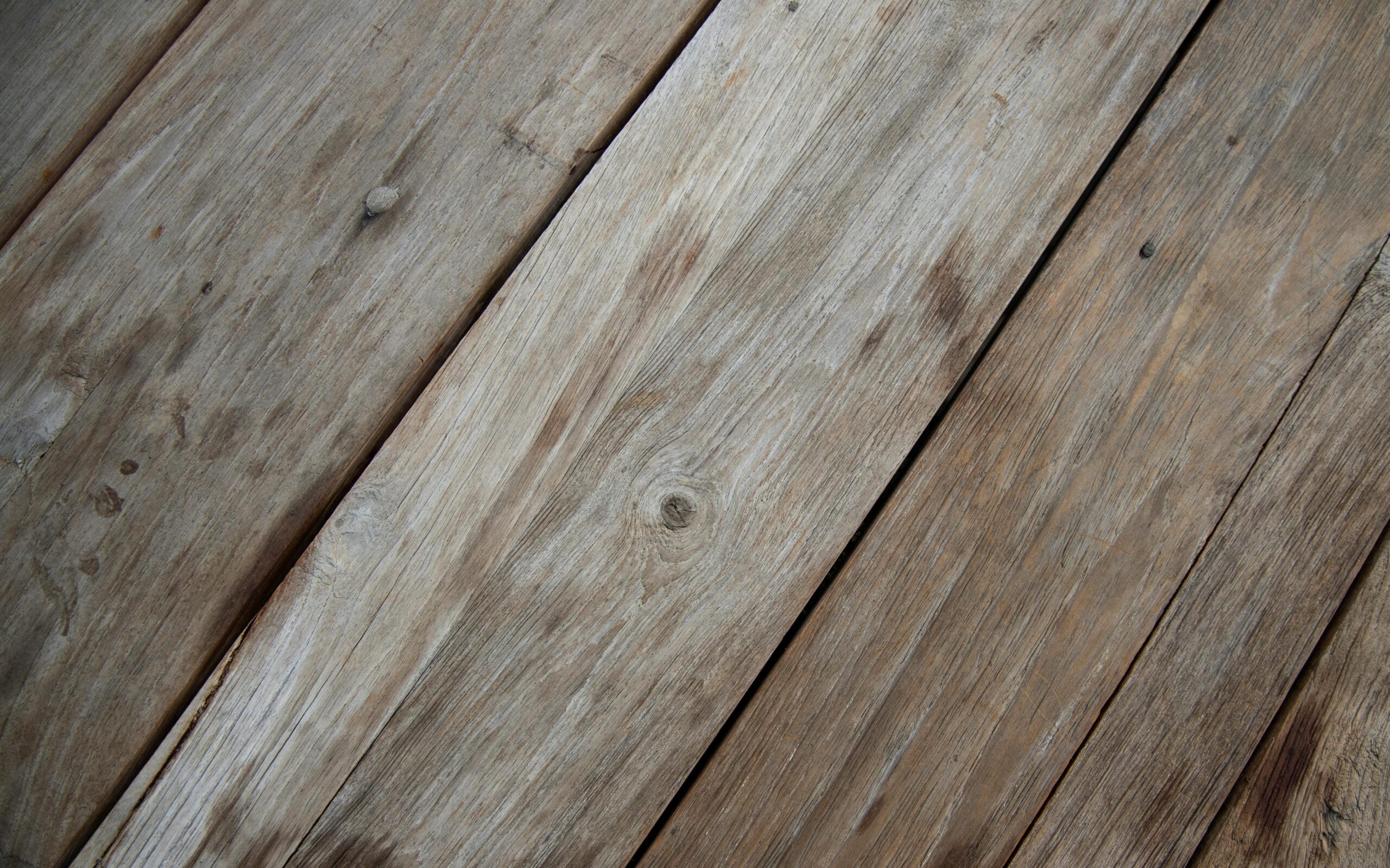 pexels enginakyurt 5378408 edited scaled