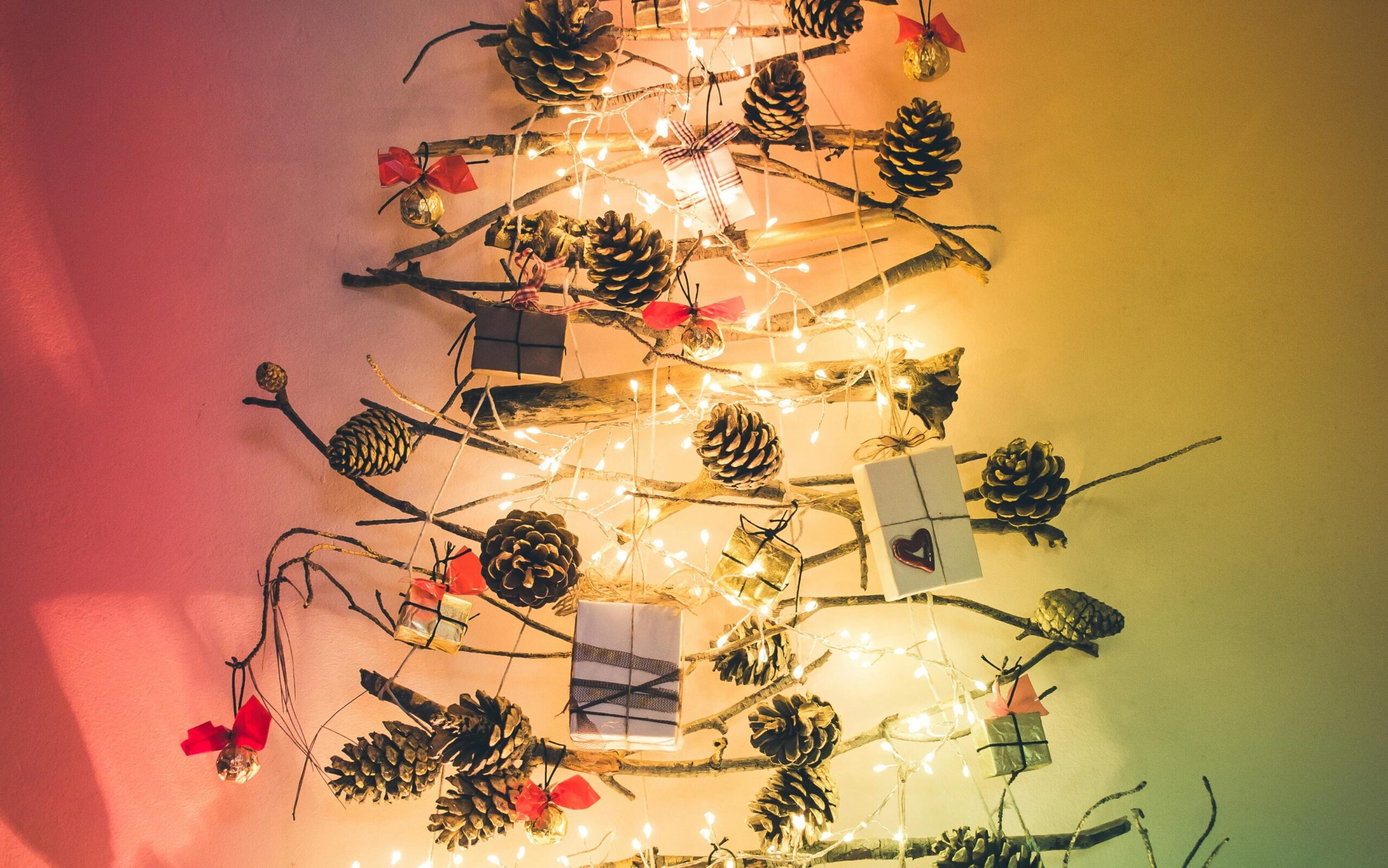 pexels ivanarezek 6291214 edited scaled