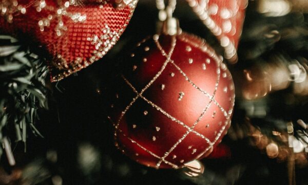 pexels jonathanborba 3303615 2 scaled e1763862832159