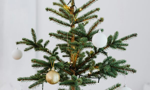 pexels karola g 5469806